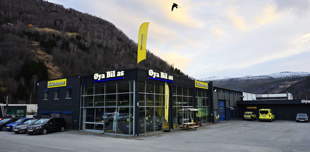 Velkommen til Øya Bil, Otta